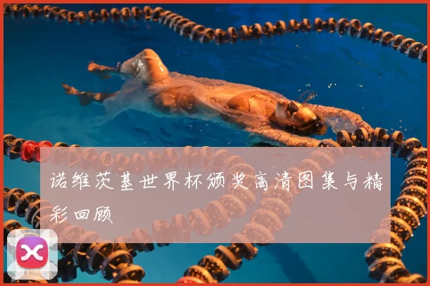诺维茨基世界杯颁奖高清图集与精彩回顾